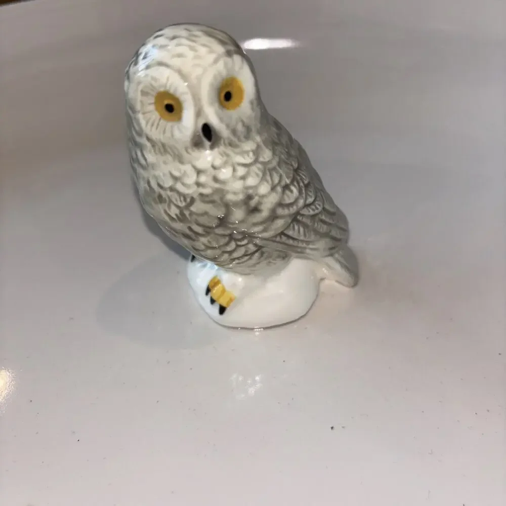 Rae Dunn Harry Potter Hedwig Ceramic Platter Serving Dish Plate Oval Owl NEW